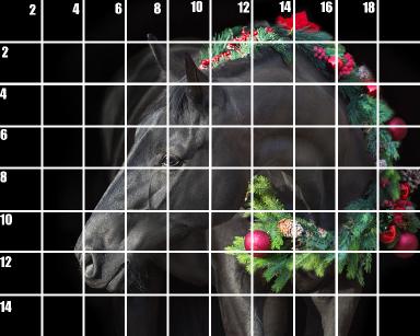 Beginners Guide How to Use the Grid method to Draw The christmas Stallion 