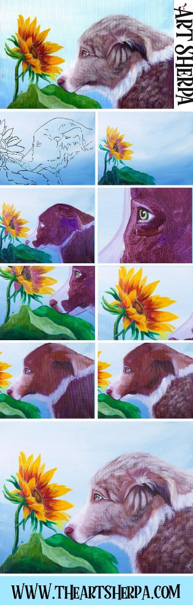 BORDER COLLIE PUPPY WITH SUNFLOWER Beginners Learn to paint Acrylic Tutorial Step by Step BAQ2021